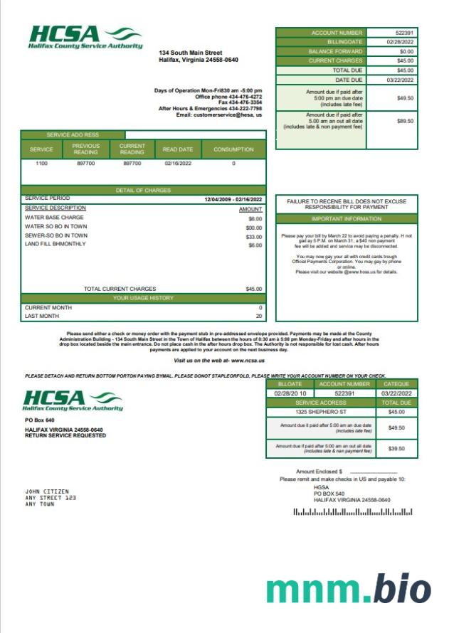 Szablon rachunku za media w USA Virginia HCSA w formacie Word i PDF